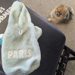 Small Dog Overly Soft Paris Hoodie 