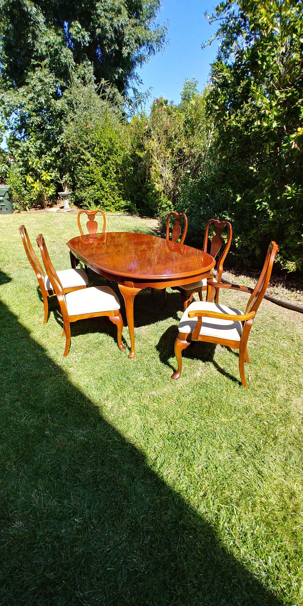 Dining rm table and 8 chairs