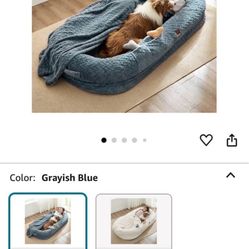 Human Dog Bed