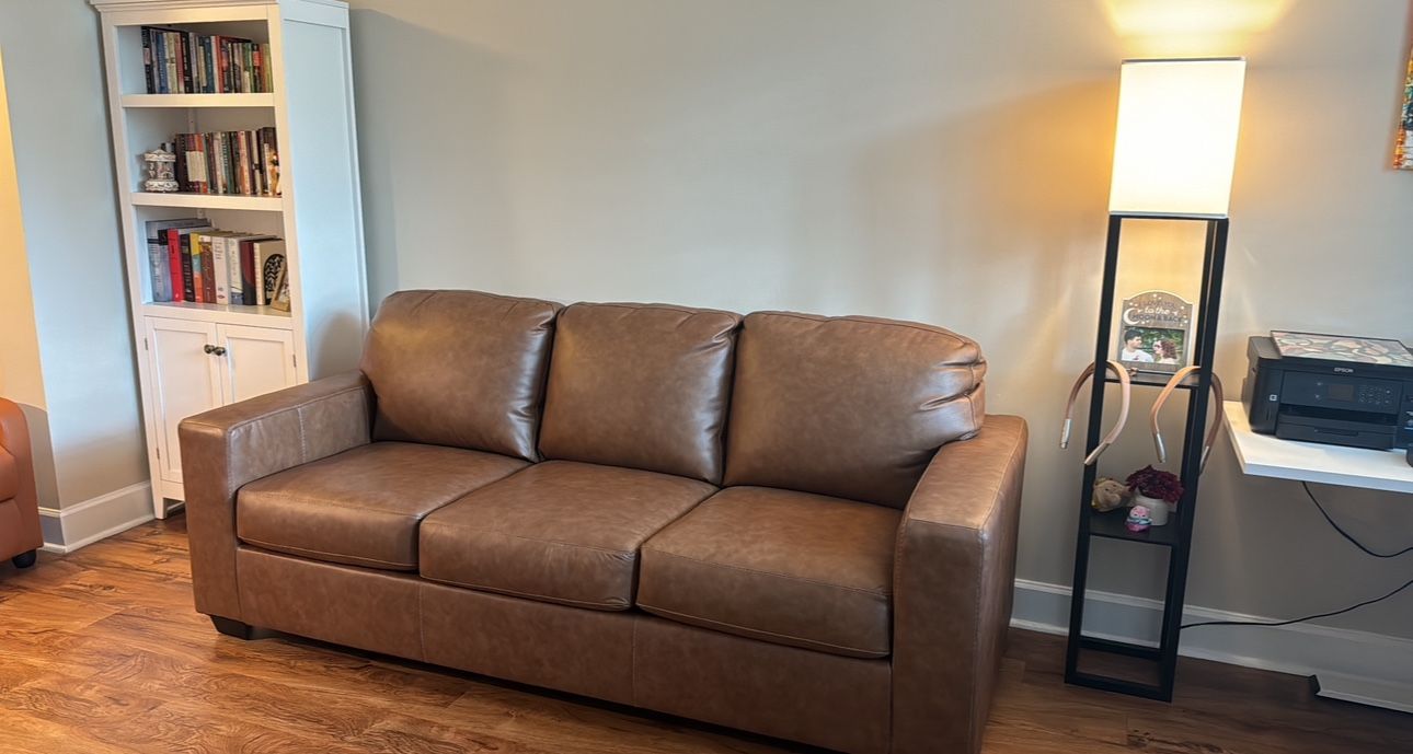 Bolsena Queen Sofa Sleeper (Wayfair)