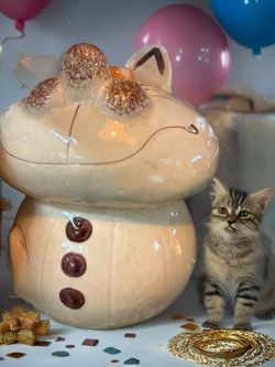 Vintage Caricature CHESHIRE CAT COOKIE JAR Unique & ONE OF A KIND POTTERY 