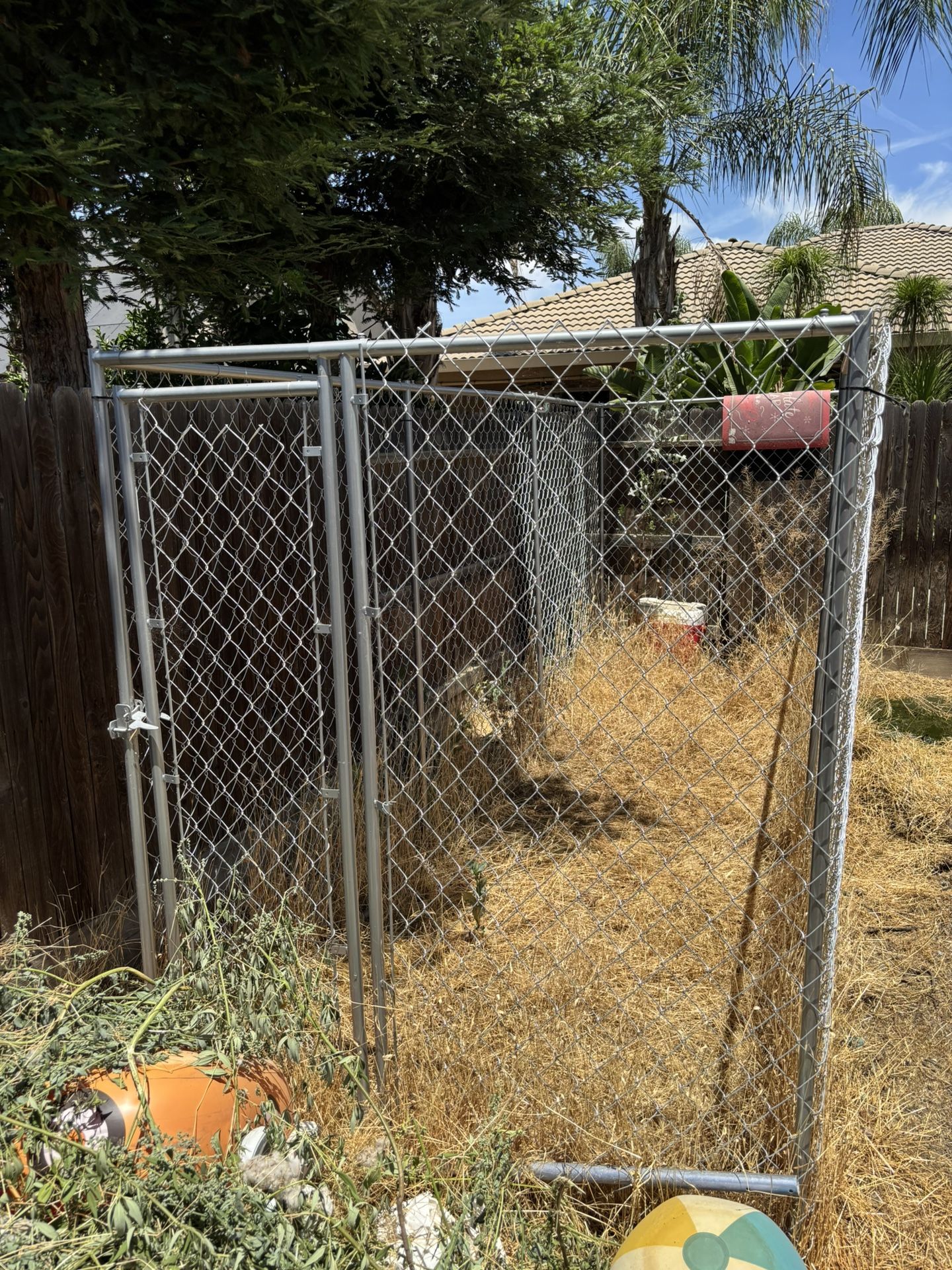 Dog Cage