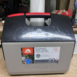 Igloo Cooler 16 Quarts 20.00 