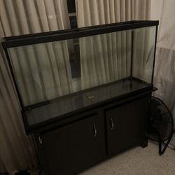 55 Gallon Fish tank With Stand