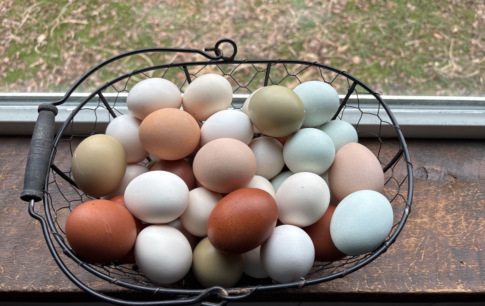 Farm Fresh Free Range Eggs