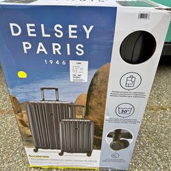 Delsey Paris 'Accelerate' 2-Piece Hardshell Luggage Set