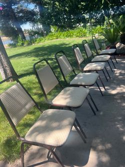 Dining chairs 6