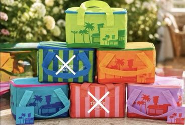 Trader Joe's Mini Insulated Lunch Bag Zipper Closure Striped Palm Tree
