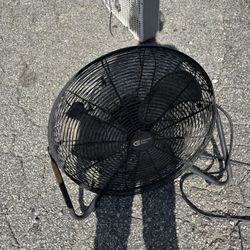 Fan