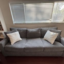 Two Couches for Sale!