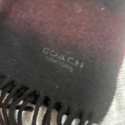 Coach  Scarf 