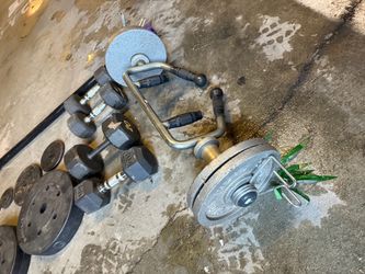 Mixed Weight Set with Dumbbells and Plates
