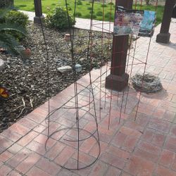 For Planning Tomatoes, Both For  8.00