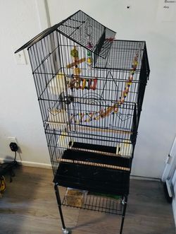 Bird cage