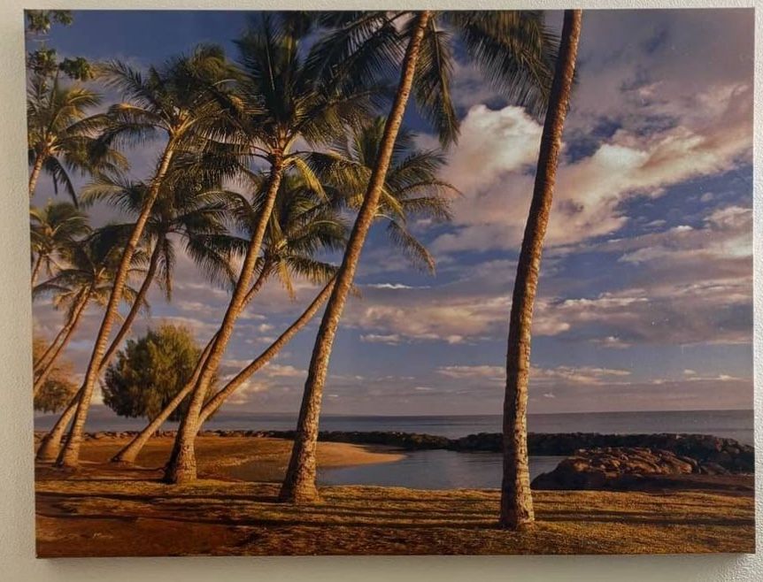 Palm Tree Wall Art