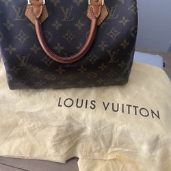 AUTHENTIC Louis Vuitton Speedy Handbag