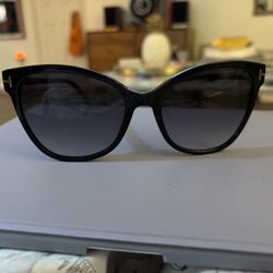 Tom Ford Cat Eye Ladies Sunglasses 