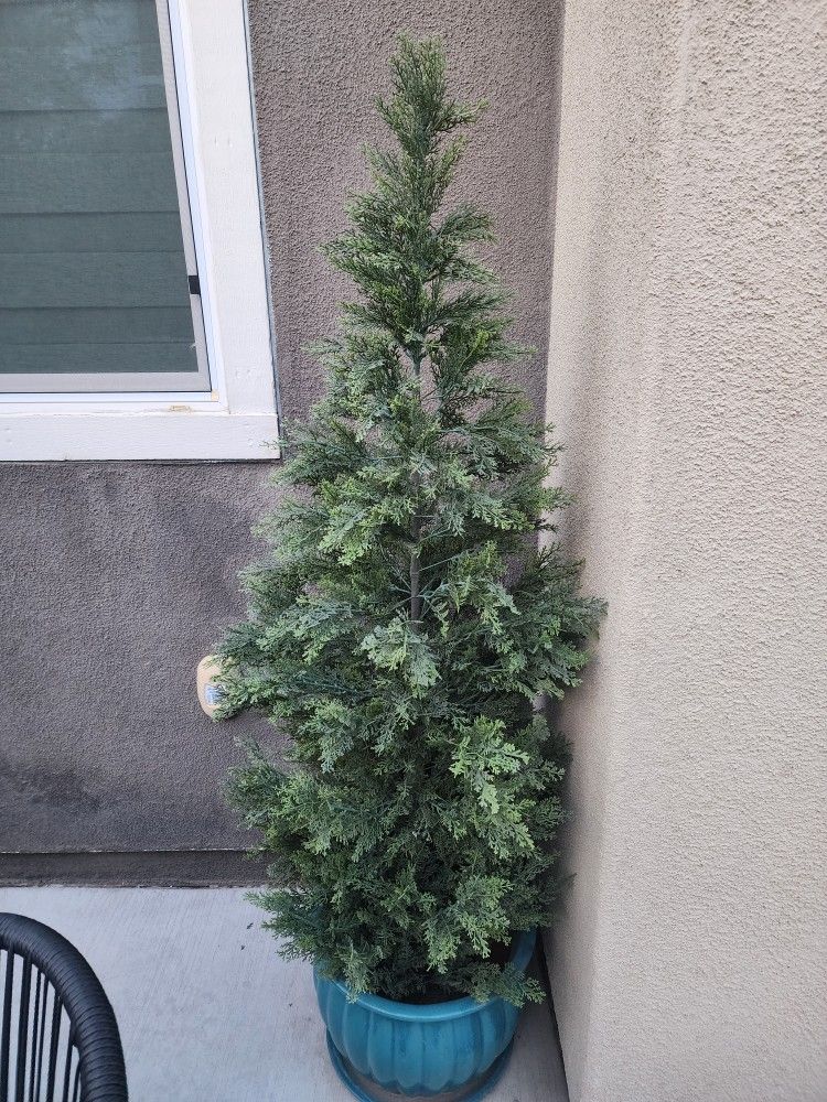 Pots Ceramic set of 2 plus 2 Artificial Trees