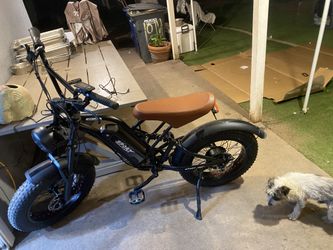 E bike