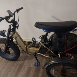 E/Electric Trike 