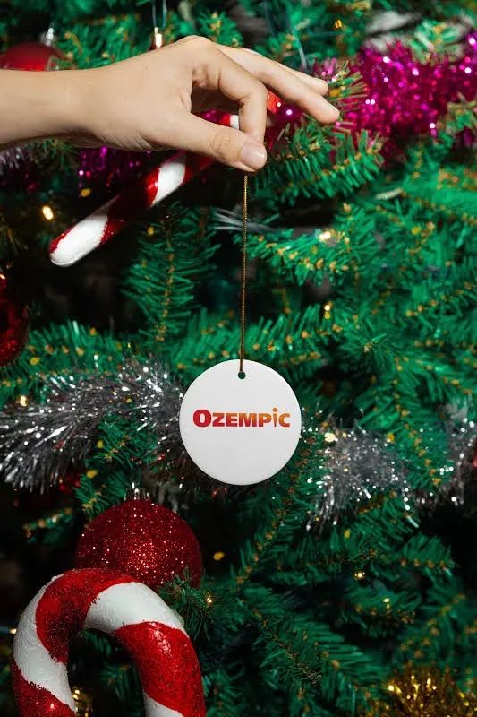 Christmas Ornament,All Products : American Fashion Style Bags On Sale