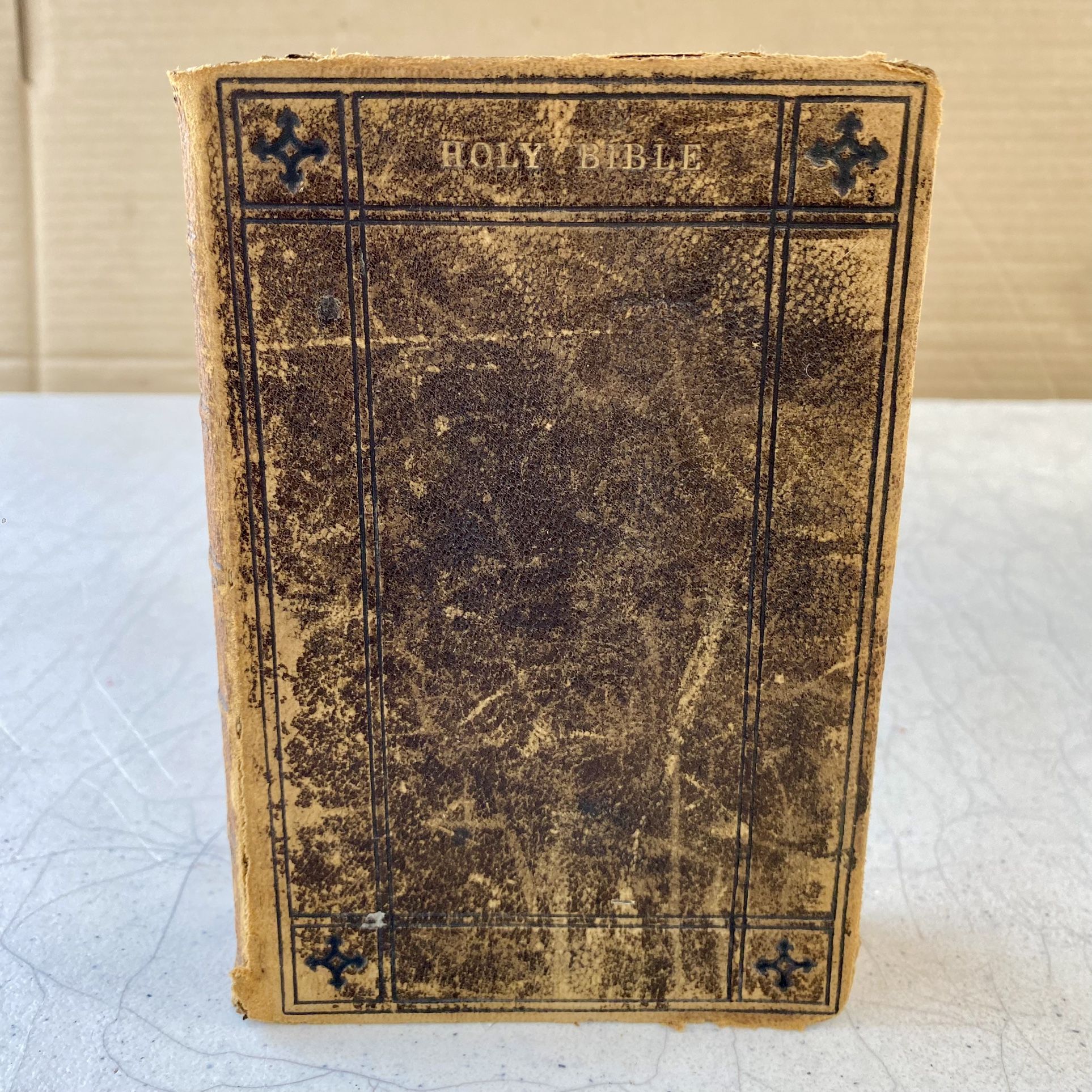 Antique 1877 Polyglot Holy Bible English Version by Samuel Bagster and Sons
