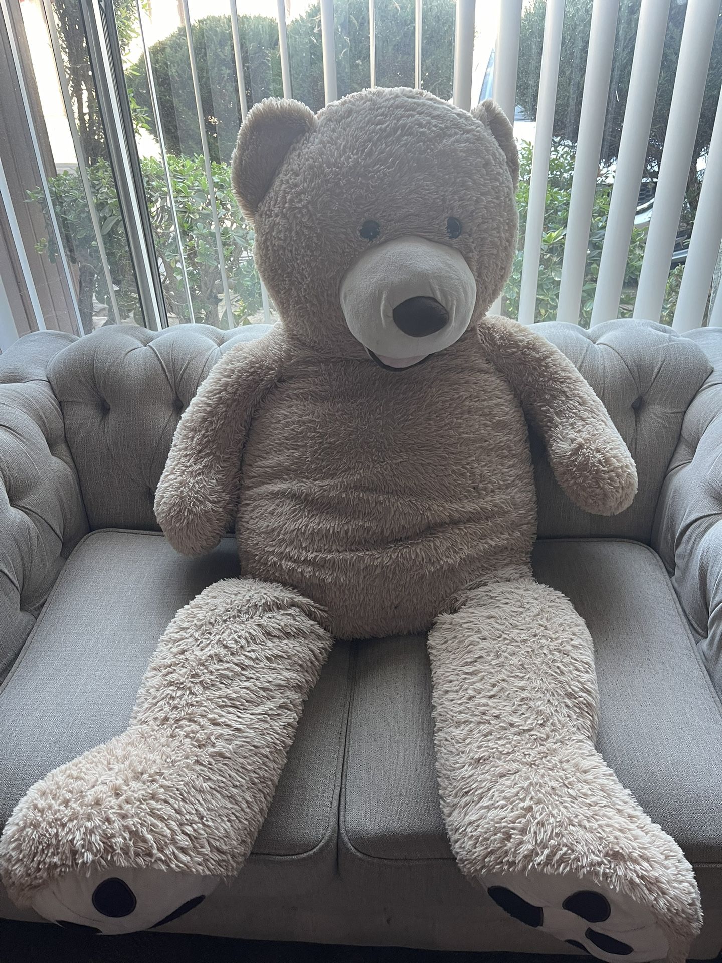 Big Teddy Bear
