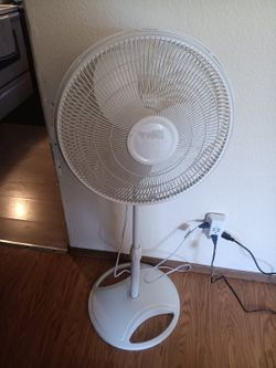 Fan