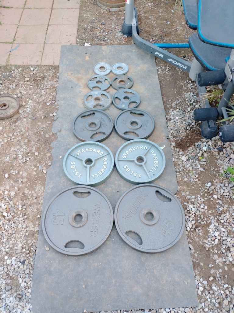 245lbs Olympic Weights 