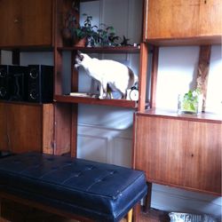 Wooden Cabinet/Bookcase 