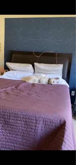 Queen sized bed frame with faux leather headboard
