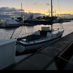 66 Cal Jenson 66 🔥 ***FIRE SALE*** 🔥 