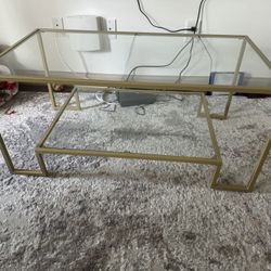 Coffee table & Rug