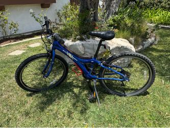 Schwinn Bike