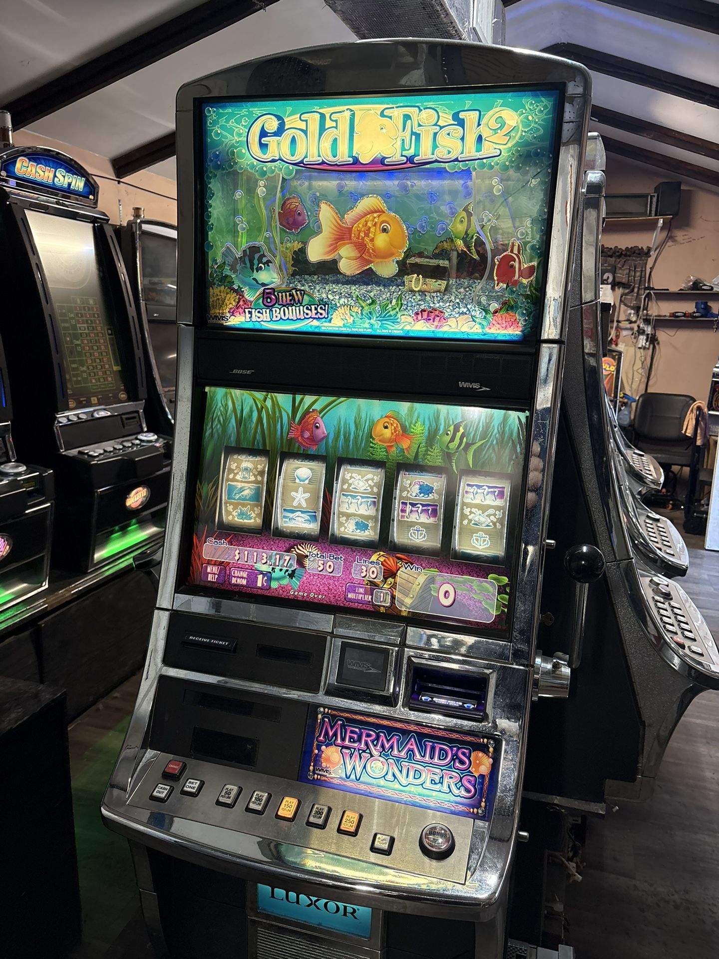 Goldfish