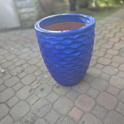 Planter/ Pot 