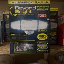 Censor Flood Light