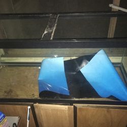 50 Gallon Fish Tank
