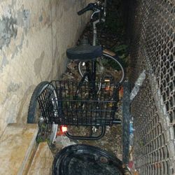 3 Wheel Bike For $100