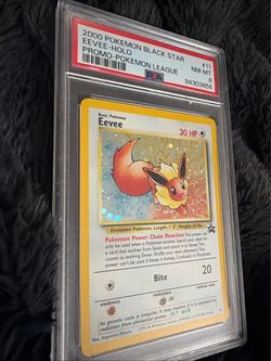 2000 Pokémon Black Star Promo Eevee Holo #11 PSA 8
