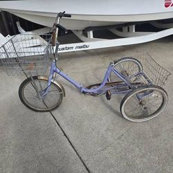 Worksman Cycle 3 Wheeler Bicycle (Fixer Upper)