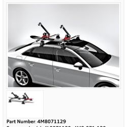 Audi B6 Snowboard Ski Roof Rack Oem