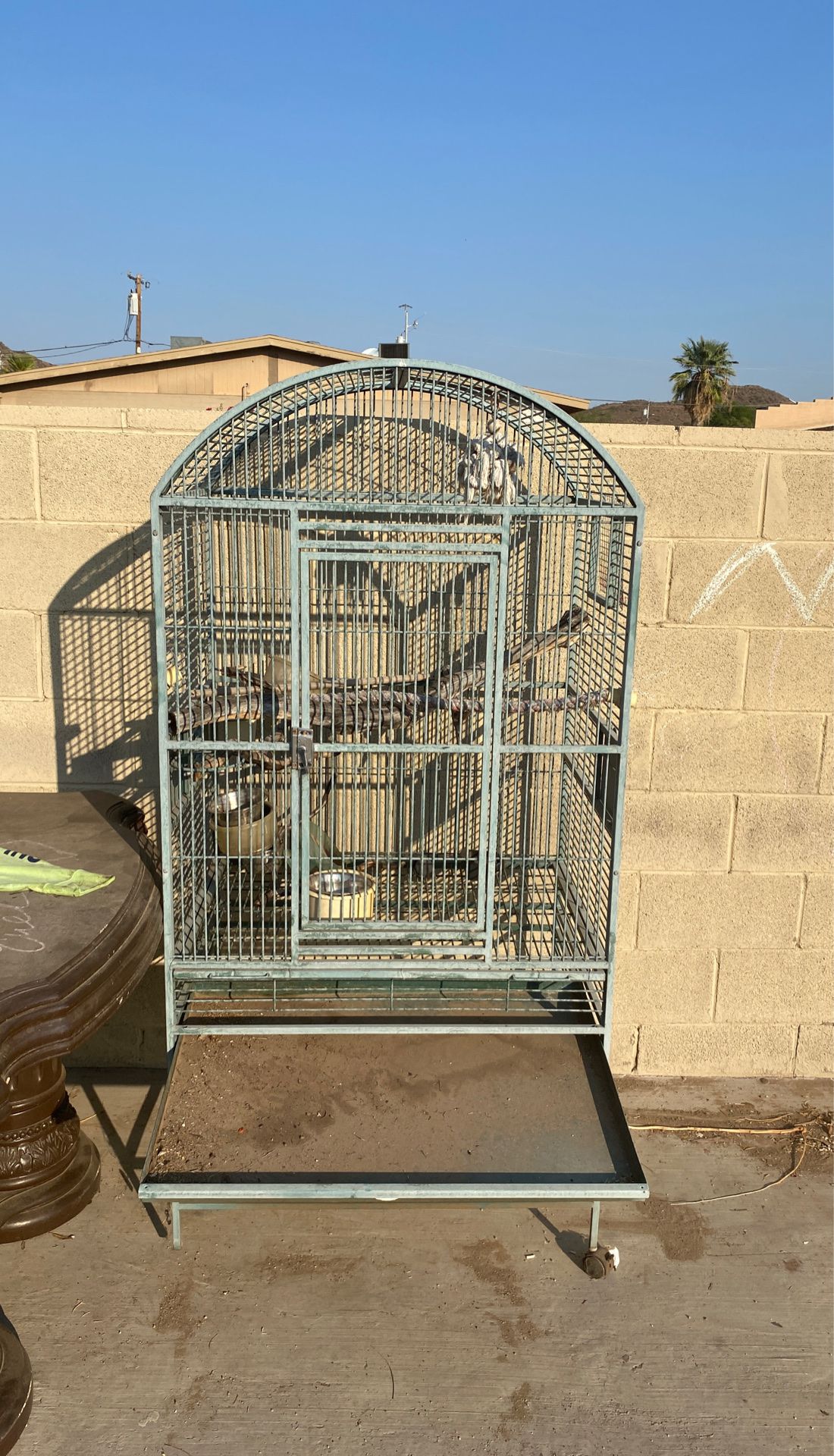 Cage for pet bird