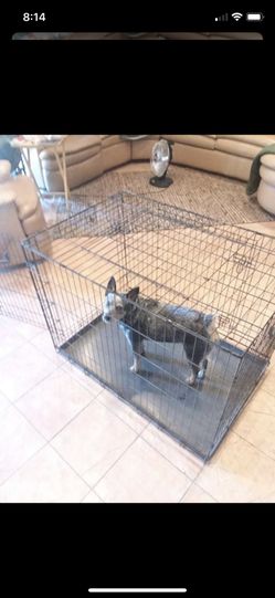 Dog Kennel