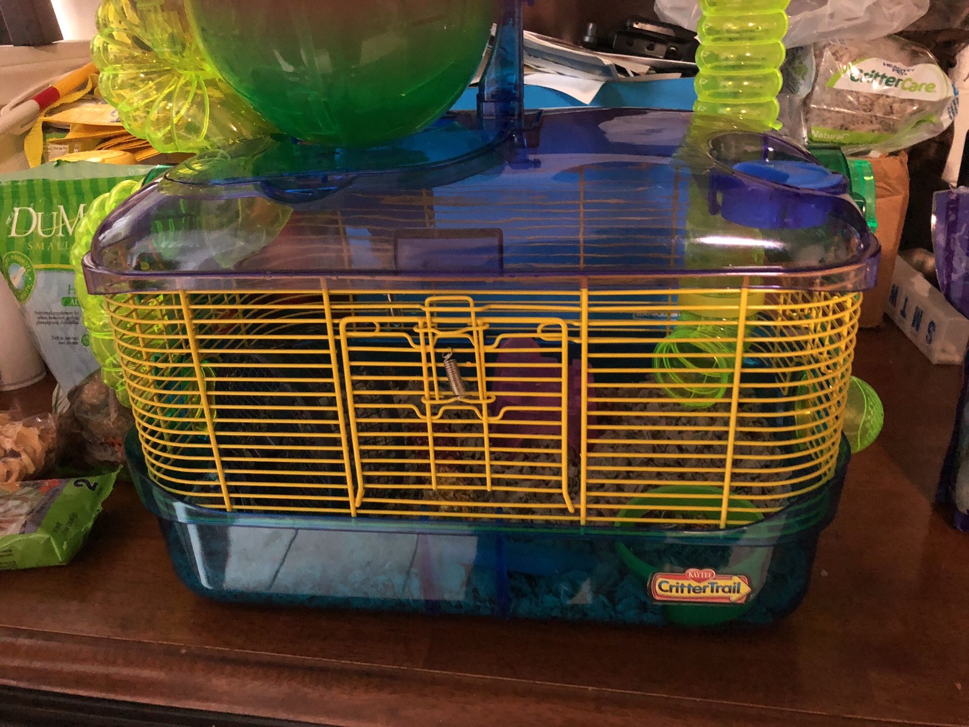 Djungarian hamster From Petco