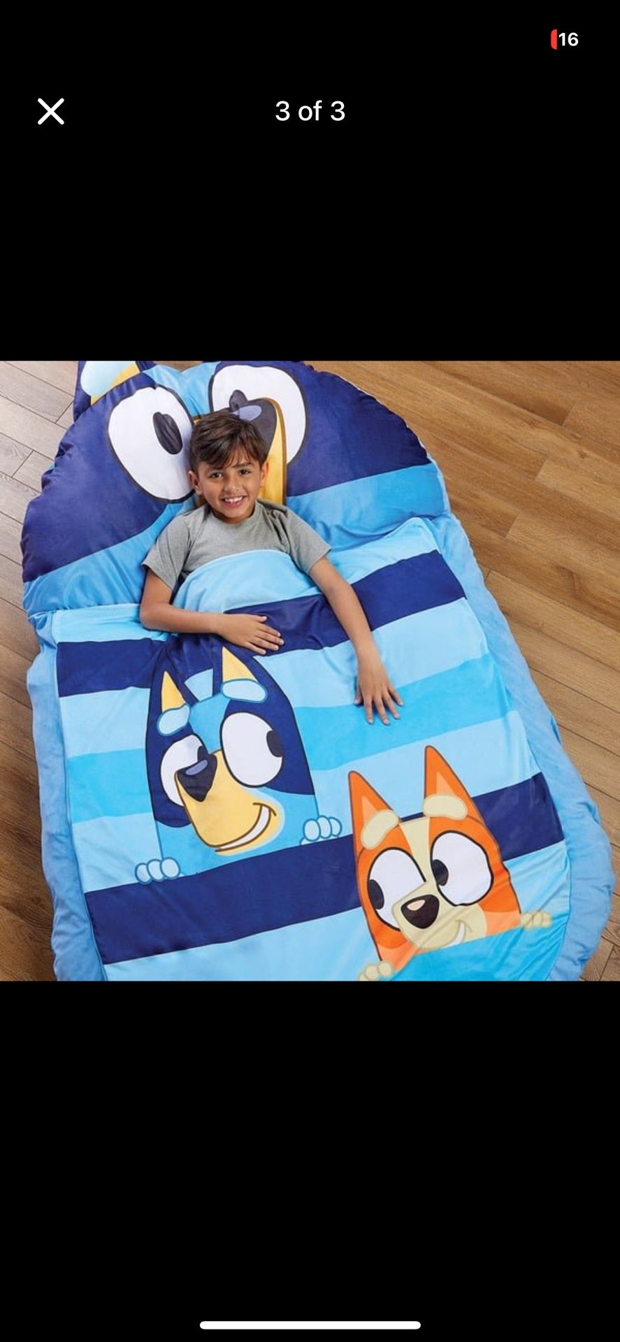 Bluey Costco Kids Sleeping Bag Kids Licensed Carry-on Spinner