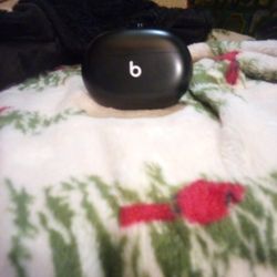 Beats Earbuds (Wireless In Black)