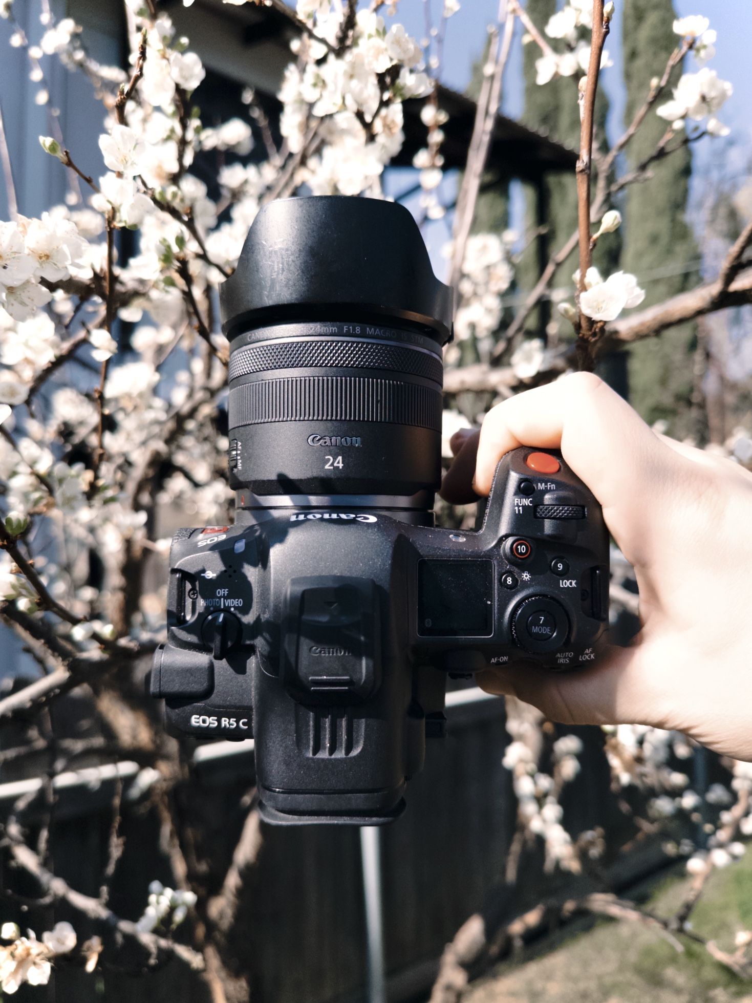 Canon R5C + 24mm 1.8 STM