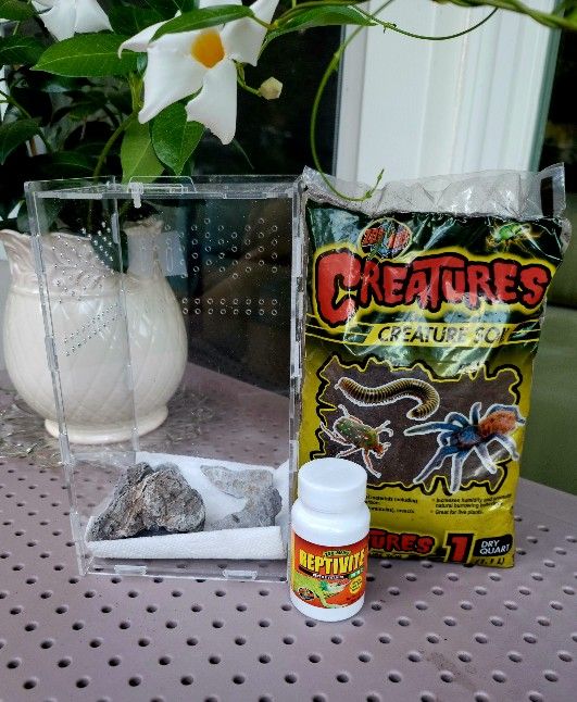 New Small Reptile Invertebrate Tank Fruit Creature Soil