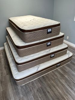 Queen Organic Cloud Edition Europillow Top 12inch Matres!